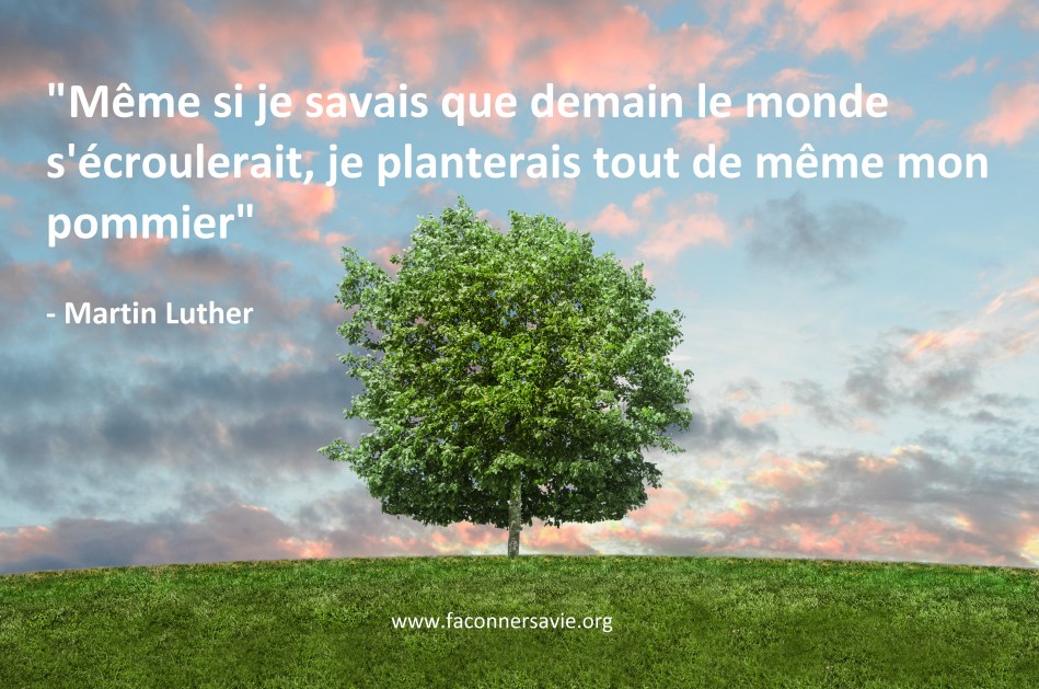 10 citations positives qui vous aideront à être plus optimistes faconner sa vie développement personnel être heureux coaching de vie martin luther king