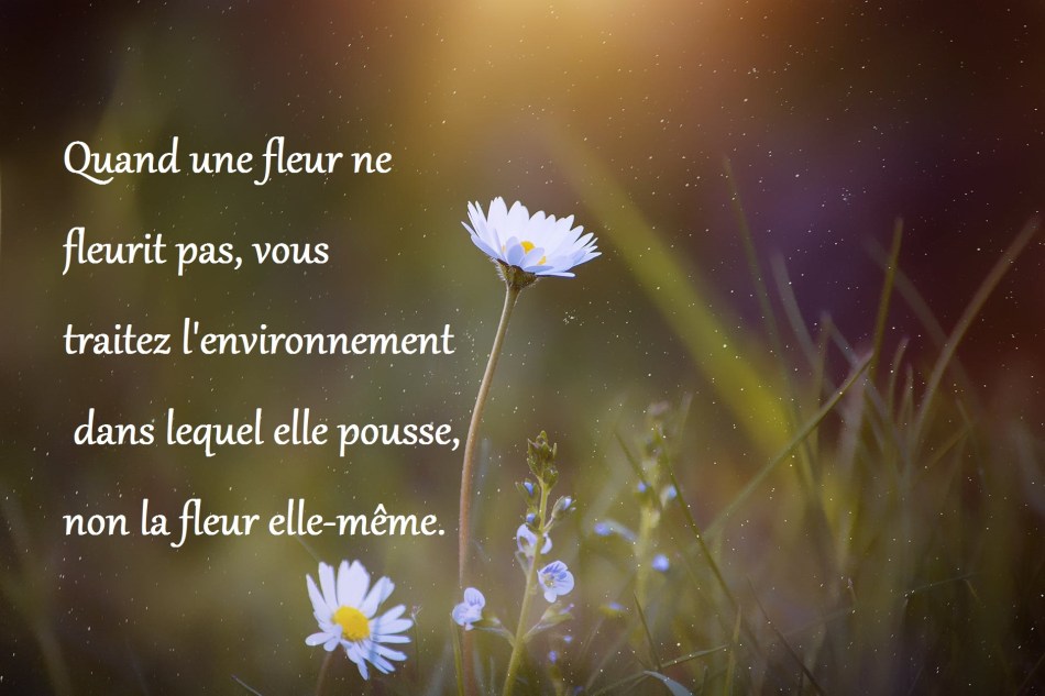 signes qu'il est temps de quitter son emploi faconner sa vie développement personnel quitter son emploi coaching etre heureux etre epanoui au travail burn out dépression leonardo di ca