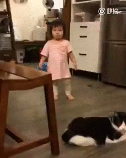 signes qu'il est temps de quitter son emploi faconner sa vie développement personnel quitter son emploi coaching etre heureux etre epanoui au travail burn out dépression réussite bonheur.gif