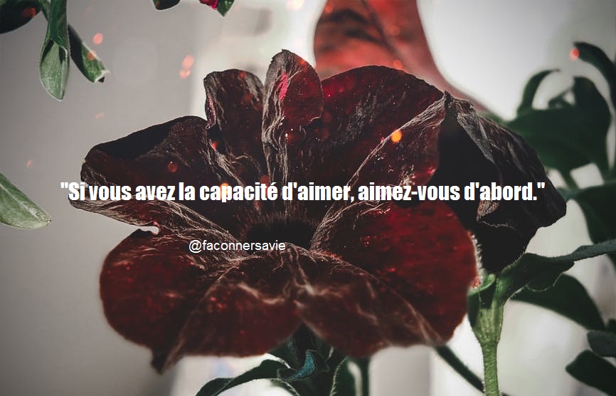 20 Citations inspirantes sur l'amour de soi je m'aime amour propre beauté c'est beau roses rouges coeur rose fleurs