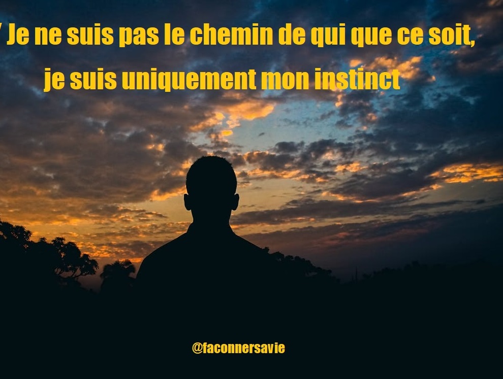 10-citations-a-garder-en-tete-lorsque-l-on-se-soucie-trop-de-ce-que-pense-les-autres-coaching-bonheur-suivre-son-instinct-meditation-la-vie-paysage-vivre-en-paix