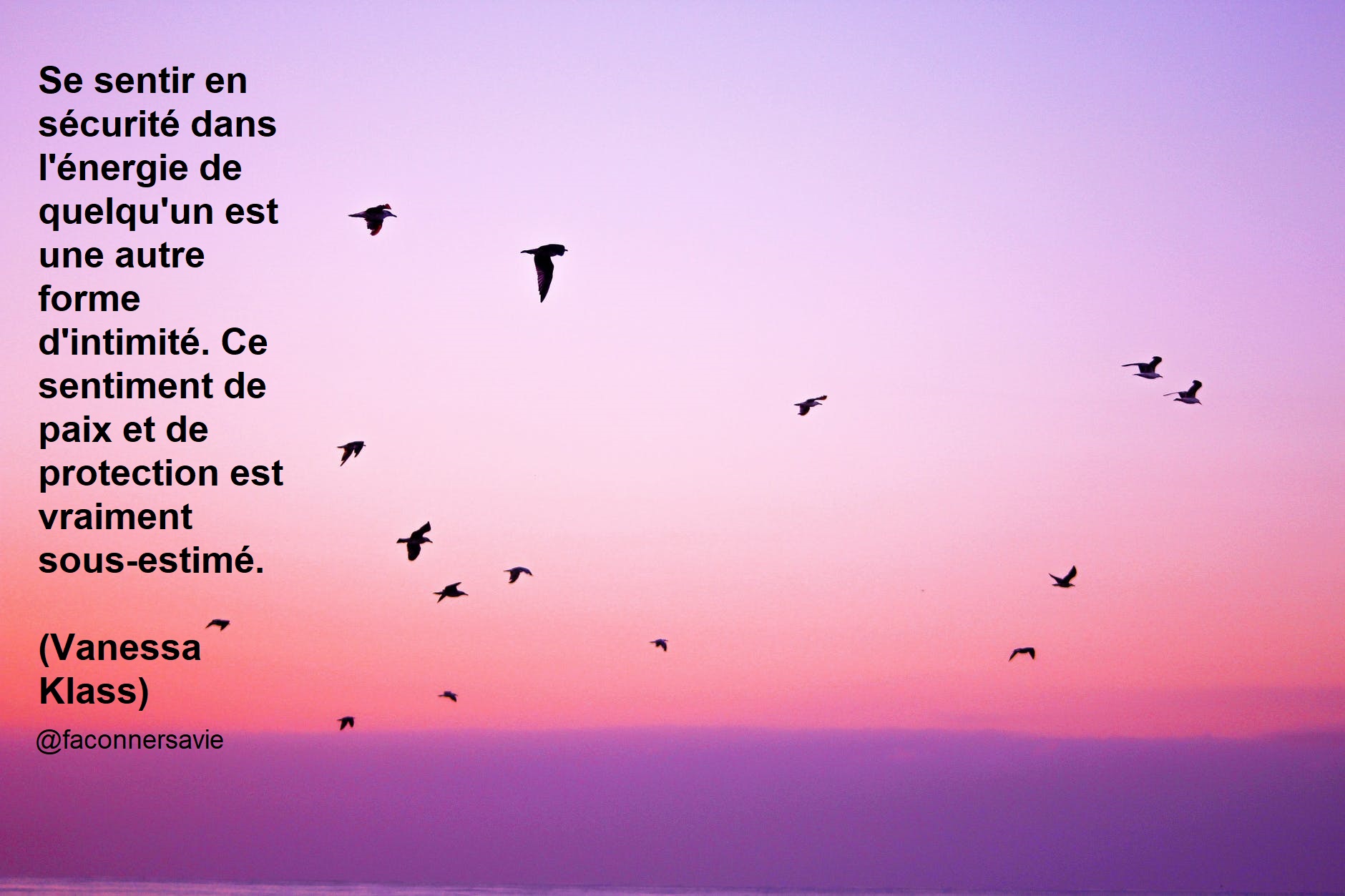 chat sécurité danger amour couple faire confiance à son instinct blog